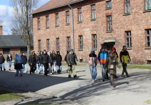 Zdjęcie 10 na 29