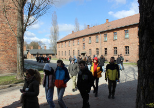 Zdjęcie 11 na 29