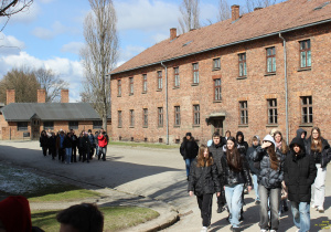Zdjęcie 12 na 29