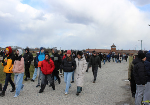 Zdjęcie 21 na 29