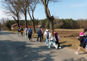 Zdjęcie 9 na 30