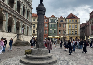 Zdjęcie 13 na 17