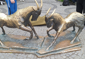 Zdjęcie 16 na 17