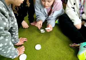 Hodowla rzeżuchy w klasie 2c.