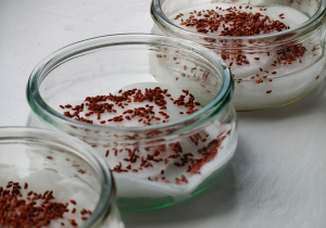 Hodowla rzeżuchy w klasie 2c.