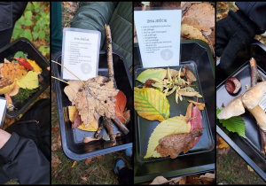 "EkoRok ze Źródłami w Naturze"